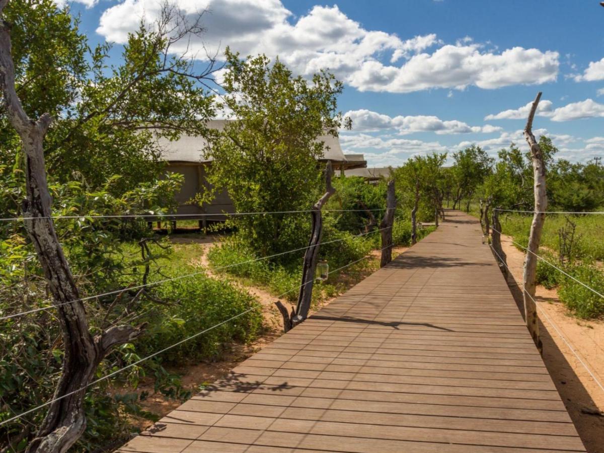 שמורת צייד בלולה Imagine Africa Luxury Tented Camp מראה חיצוני תמונה