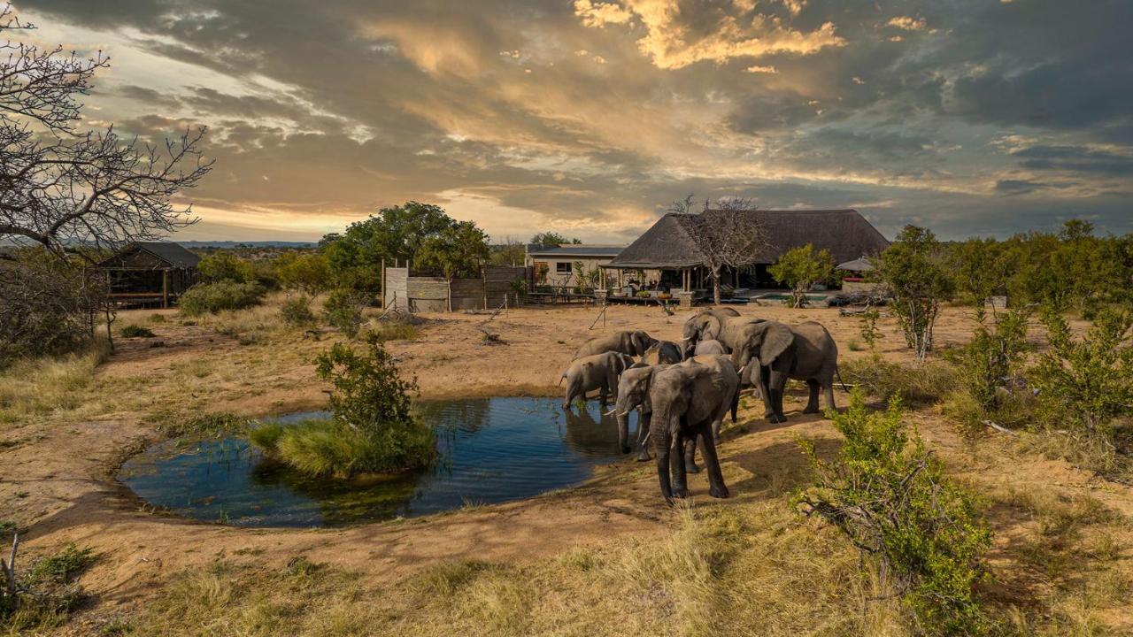שמורת צייד בלולה Imagine Africa Luxury Tented Camp מראה חיצוני תמונה