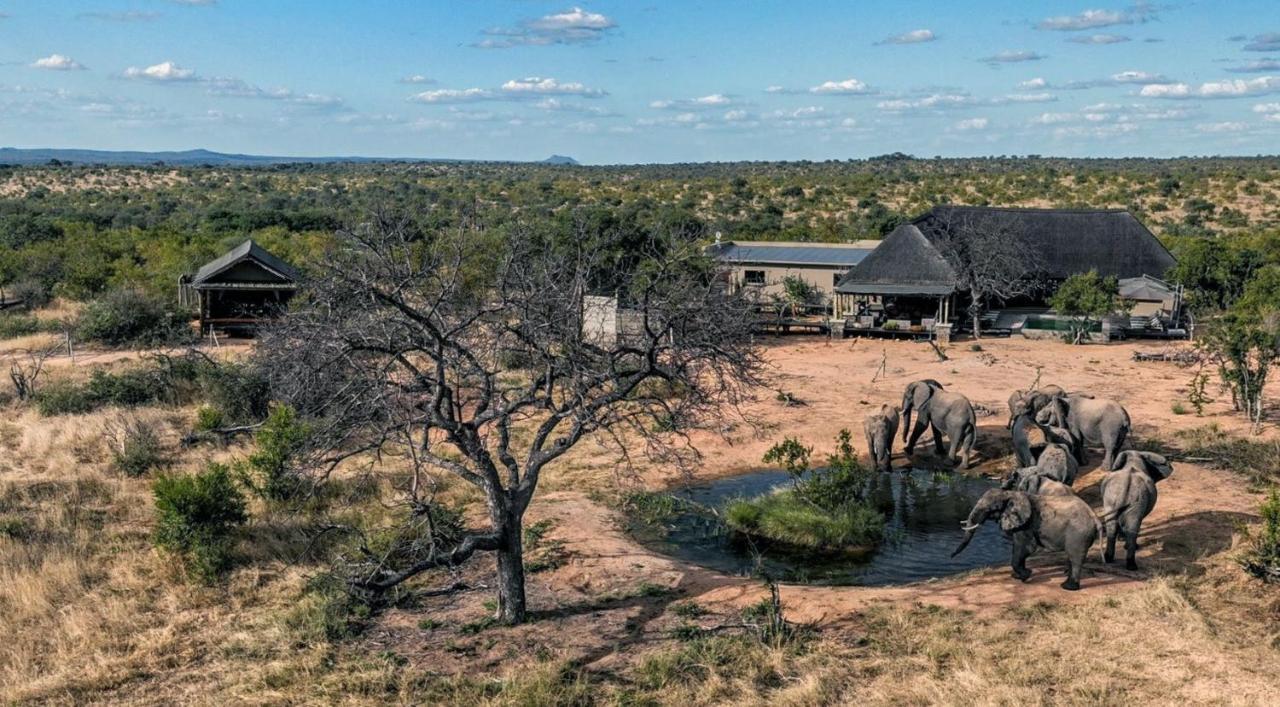 שמורת צייד בלולה Imagine Africa Luxury Tented Camp מראה חיצוני תמונה