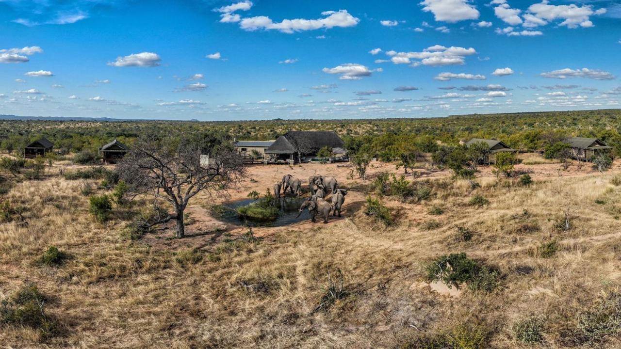 שמורת צייד בלולה Imagine Africa Luxury Tented Camp מראה חיצוני תמונה